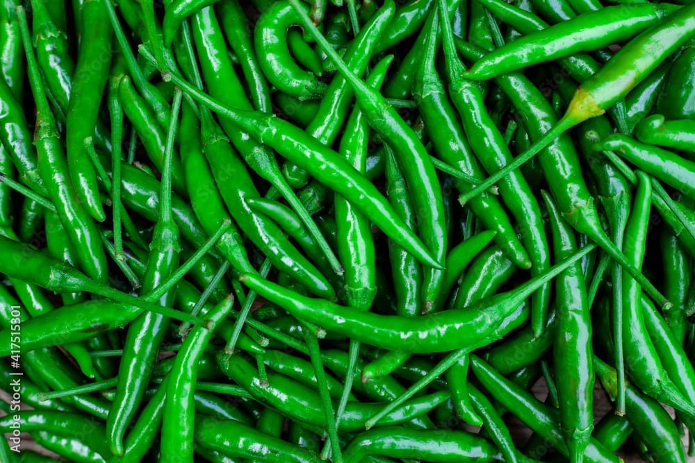Grace Ferro Exports - Green Chilli exporters in India
