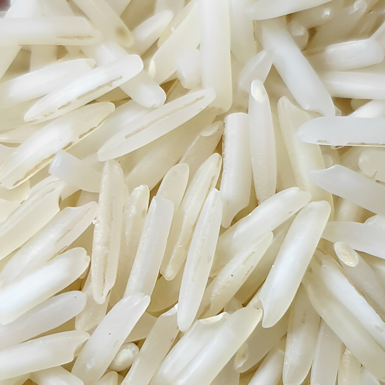Premium 1718 Basmati Rice